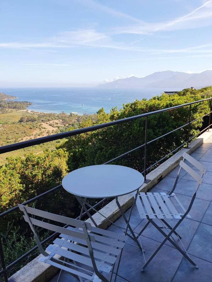 Les Hauts De Fromentica Saint-Florent  Exterior photo